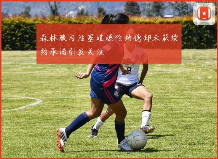 森林狼与活塞追逐伦纳德却未获续约承诺引发关注