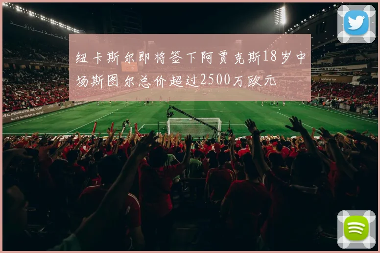 纽卡斯尔即将签下阿贾克斯18岁中场斯图尔总价超过2500万欧元